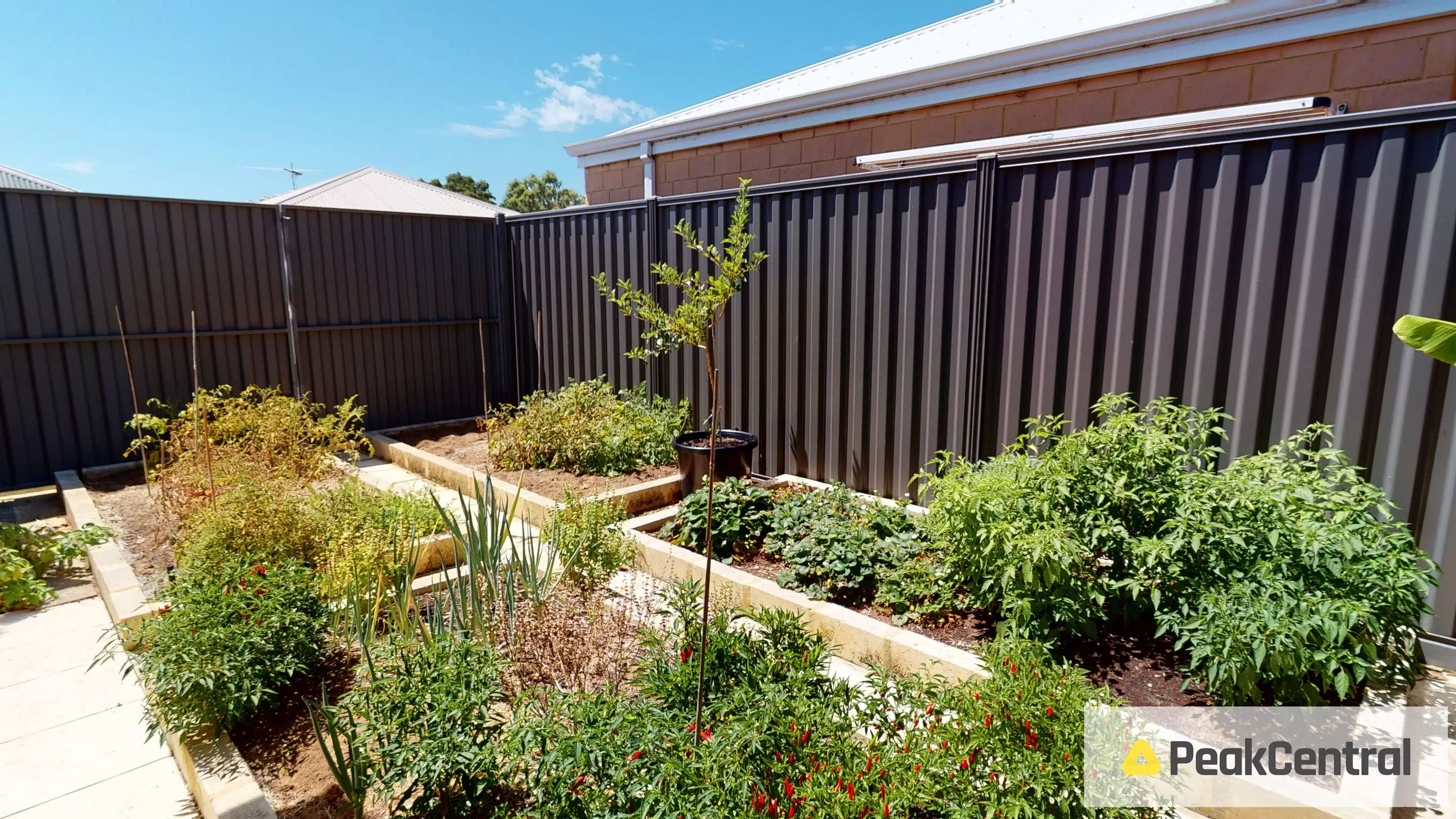 1349 Rowley Road, Hilbert Sold by Peak Central Property Group - image 25